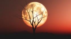 Supermoon Akan Hiasi Langit Indonesia 5 November 2025, Ini Waktu Terbaik untuk Menyaksikannya