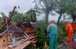 Cuaca Ekstrem Terjang Kalitidu Bojonegoro, 5 Pohon Tumbang 9 Rumah Rusak Diterjang Angin
