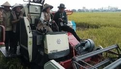 ​​​​​​​Pertanian Presisi Cerdas, IoT Tingkatkan Hasil Panen Melon dan Padi di Sragen