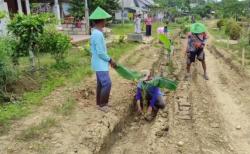 Aksi Warga Pandeglang Bikin Geger: Jalan Rusak Jadi Lahan Pohon Pisang