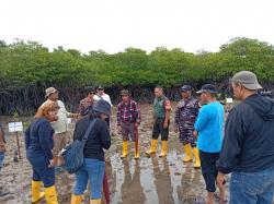 Ribuan Bibit Mangrove Ditanam di Pulau Ngenang Batam untuk Cegah Abrasi Pantai