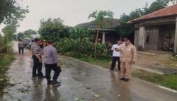 Cuaca Ekstrem di Sragen: Pohon Tumbang Timpa Rumah, Tak Ada Korban Jiwa