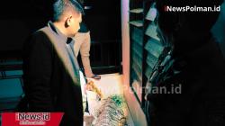 Suara Rintihan di Ruko Pasar Tinambung Berujung Tragis: Perempuan Ditemukan Tak Bernyawa!