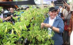 Indikator Ini Disebut Gubernur Herman Deru Bikin Kesejahteraan Petani Sumsel Mengalami Perbaikan