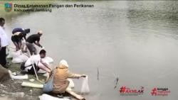 Jaga Ekosistem Perairan, 8.000 Ekor Benih Ikan Tawes dan 2.000 Gurame Ditebar di Waduk Jambe Jombang