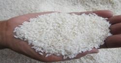 Bansos Beras 20 Kg dan Minyak Goreng 4 Liter Disalurkan November 2025, Ini Cara Cek Penerimanya