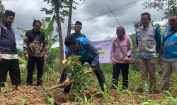 Cegah Bencana Longsor dan Kekeringan, PLN Ponorogo Tanam dan Bagikan Bibit Pohon