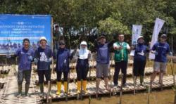 Aksi Hijau di Pantai KSS: 4.000 Mangrove Ditanam untuk Cegah Abrasi