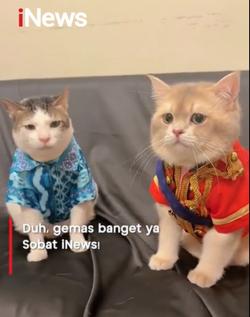 Bobby Kertanegara Fanmeeting, Tetap Kalem Meski Kena Tabok Selebcing