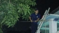 Empat Warga Disengat, Damkar Indramayu Evakuasi Sarang Tawon di Sukra