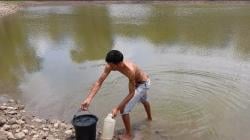 Tak Ada Pilihan Lain, Ratusan Warga Kampung Papin TTU dan Ternak Andalkan Air Embung