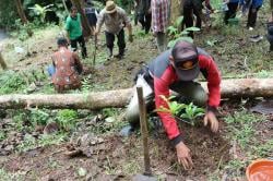 Rehabilitasi 12 Ha Hutan untuk Selamatkan Lingkungan dan Perkuat Ekonomi