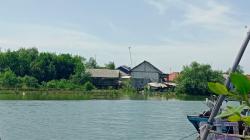 Kali Perawan Meluap, Banjir Rob Rendam Permukiman di Kandanghaur dan Sekitarnya