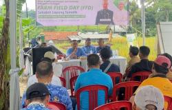 Genjot Produktivitas Padi, Hasil Panen Petani Tembus 7,6 Ton per Hektare