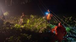 Hujan Deras dan Angin Kencang Tumbangkan Pohon di Kebumen