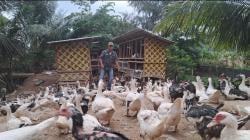 Semangat Desa Bertahan Lewat Bebek dan Lele Cerita dari Lhok Bengkuang Timur