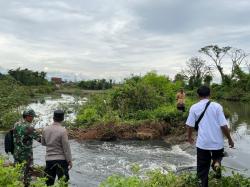 Tanggul Sungai Silempeng Jebol, Sawah di Dua Desa Pekalongan Terendam