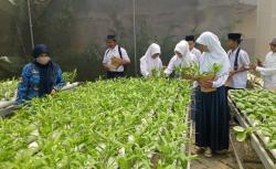 Belajar Mandiri, Siswa SLB Yakalimu Olah Sayuran Hidroponik Jadi Simping Khas Purwakarta