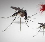 DKK Sragen Umumkan Zero Death DBD, Tapi Kasus Tembus 2.076 ini Titik Rawannya