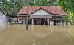 Sawah Jadi Lautan, Rumah Jadi Kolam! Warga Pangandaran Hanya Bisa Pasrah di Tengah Banjir