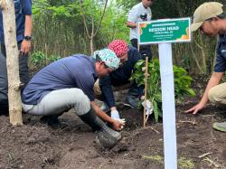Lereng Ijen Jadi Sentra Arabika Java Coffee Estate