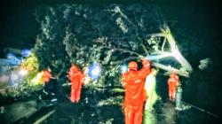 Hujan Deras Disertai Angin Puting Beliung Terjang Dua Kecamatan di Lamongan, Sejumlah Pohon Tumbang