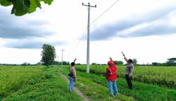 Pencurian Kabel PLN Marak di Sragen: Dua Kali Beraksi dalam Seminggu, Kerugian Capai Rp47 Juta