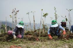Megamendung Glow Up Parah! Dulu Lahan Konflik, Kini Ekowisata Keren