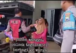 Penuh Kebersamaan, Polsek Tegalampel Bagikan Hasil Panen Mangga ke Masyarakat