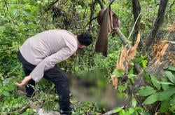 Honda CB Terjung ke Jurang dan Terbakar di Jalan Bojonegoro-Nganjuk, 1 Korban Tewas