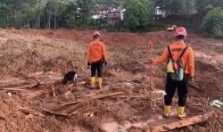 Hari Ketiga Longsor Majenang, 9 Eskavator dan 9 Anjing Pelacak Dikerahkan