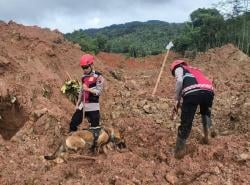 Tim SAR Berhasil Temukan 10 Korban Meninggal di Lokasi Longsor Cibeunying Majenang, Cilacap