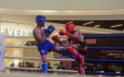 Kickboxing-Boxing Kapolda Cup II, Polda Jateng: Asah Kemampuan Atlet dan Mental Petarung Sejati