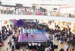 Kapolda Cup II Semarang Jadi Ajang 250 Atlet Kickboxing dan Boxing Adu Prestasi