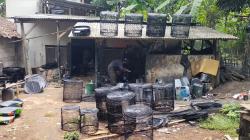 Harga Jual Turun Tajam, Perajin Sangkar Burung Garut Bertahan dengan Kualitas