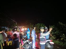 Pohon Besar Tumbang di Jalur Terisi Indramayu, Akses Jalan Sempat Lumpuh Total