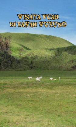 Viral,  Padang Savana Kawah Wurung Bondowoso Diduga Akan Ditanami Alpukat, Netizen Heboh