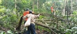 Hari Kelima Pencarian, Lansia Dg Malla Masih Hilang di Hutan Gowa