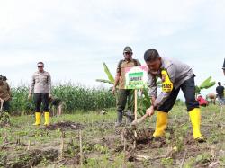 Ayo Cegah Banjir dan Longsor, Polres Grobogan Bareng Mahasiswa Serta Perhutani Tanam Pohon di Lebak