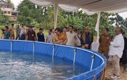 Kampung Ikan Damandiri, Motor Baru Ekonomi Subang dengan Teknologi Bioflok dan Pemberdayaan Warga