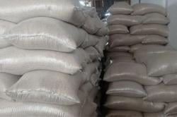 Surplus 252 Ton, Pemkab Lebak Tegaskan Kebutuhan Pangan Cukup hingga Natal dan Tahun Baru 2026