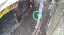 Video CCTV Pembobolan Toko di Jombang, Netizen Salfok Lihat Kucing di Lokasi: Kucingnya Jadi Saksi