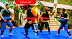 Menteri Keuangan Purbaya Sparing ala UFC dengan Anak, Koruptor Makin Ciut Nyali