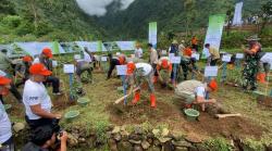 Cegah Bencana Hidrometeorologi, BNPB Tanam 100.000 Pohon di Empat Provinsi