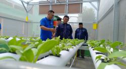 Dukung Ketahanan Pangan dan Didik Siswa Cinta Lingkungan, SMK Ma’arif Blora Bangun Green House