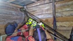 Ular Sanca Kembang 3 Meter Gegerkan Warga Palangka Raya, Bersembunyi di Atas Warung Sembako