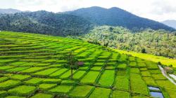 Desa dari Timur yang Mendunia: Golo Loni Sabet Juara 3 Nasional LDWN 2025