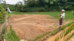 Enam Sawah di Kalanganyar Rusak Tertimbun Lumpur, Warga Tuding Imbas Galian Tanah