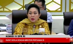 Titiek Soeharto Kritik Kementan: Malu! Bangsa Pemakan Tempe Kok Impor Kedelai 2,6 Juta Ton