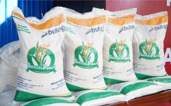 Lewat Bapanas, 123 Ribu KPM Lebak Dapat Bantuan Pangan Beras